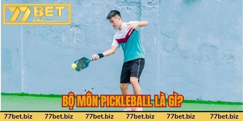 Bộ môn PickleBall là gì? Bộ môn PickleBall là gì?