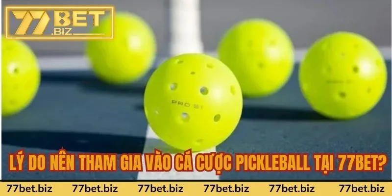 Lý do nên tham gia vào cá cược Pickleball tại 77Bet? Lý do nên tham gia vào cá cược Pickleball tại 77Bet?