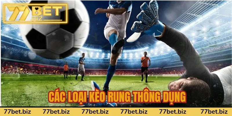 Các loại kèo rung thông dụng Các loại kèo rung thông dụng