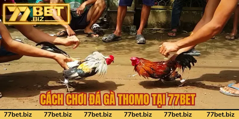 Cách thức tham gia cược tại sân chơi chi tiết Cách thức tham gia cược tại sân chơi chi tiết