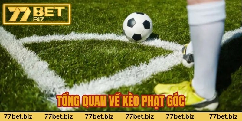 Tổng quan về kèo phạt góc Tổng quan về kèo phạt góc