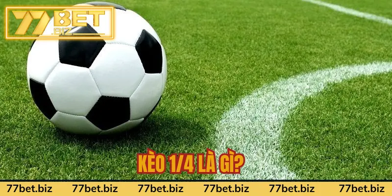 Giải đáp kèo ¼ trong bóng đá là gì Giải đáp kèo ¼ trong bóng đá là gì