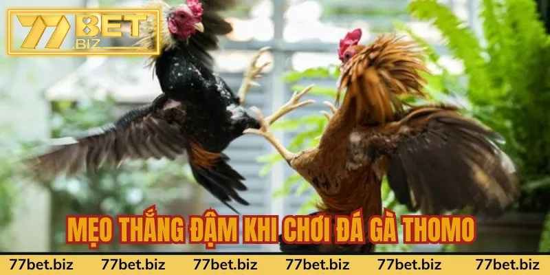 Chiến thuật cược thắng lớn dành cho anh em Chiến thuật cược thắng lớn dành cho anh em